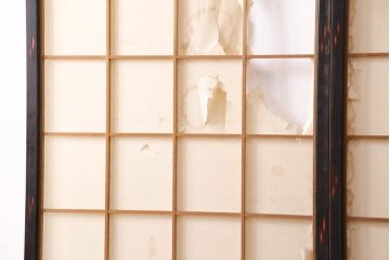 アンティーク建具　昭和初期　漆塗り　希少!腰板の凝ったつくりが魅力の障子戸2枚セット(引き戸、建具)(R-049505)