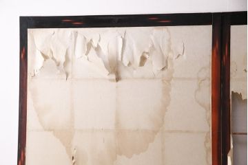 アンティーク建具　昭和初期　漆塗り　希少!腰板の凝ったつくりが魅力の障子戸2枚セット(引き戸、建具)(R-049505)