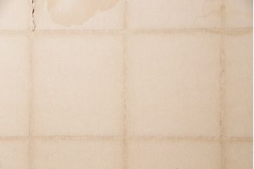 アンティーク建具　昭和初期　漆塗り　希少!腰板の凝ったつくりが魅力の障子戸2枚セット(引き戸、建具)(R-049505)