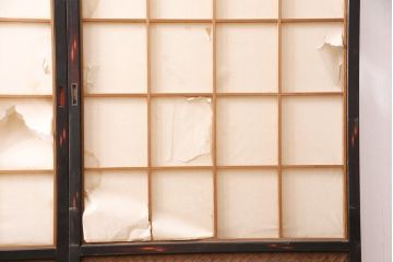 アンティーク建具　昭和初期　漆塗り　希少!腰板の凝ったつくりが魅力の障子戸2枚セット(引き戸、建具)(R-049518)