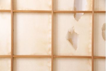 アンティーク建具　昭和初期　漆塗り　希少!腰板の凝ったつくりが魅力の障子戸2枚セット(引き戸、建具)(R-049518)