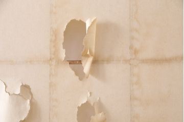 アンティーク建具　昭和初期　漆塗り　希少!腰板の凝ったつくりが魅力の障子戸2枚セット(引き戸、建具)(R-049518)
