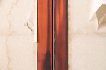 アンティーク建具　昭和初期　漆塗り　希少!腰板の凝ったつくりが魅力の障子戸2枚セット(引き戸、建具)(R-049518)