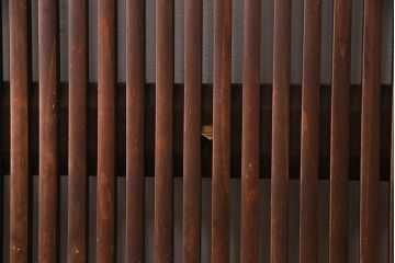 アンティーク建具　腰板ケヤキ材・その他ヒノキ材　明治期の古い蔵戸(格子戸、玄関戸、引き戸、建具)(R-049547)