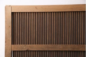 アンティーク建具　腰板ケヤキ材・その他ヒノキ材　明治期の古い蔵戸(格子戸、玄関戸、引き戸、建具)(R-049547)