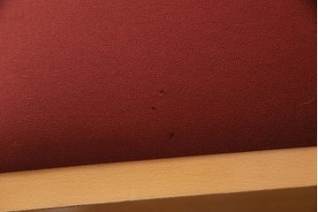 中古　ACTUS(アクタス)　ナチュラルな空間づくりに活躍するハイチェア(カウンターチェア、バーチェア)(R-049587)