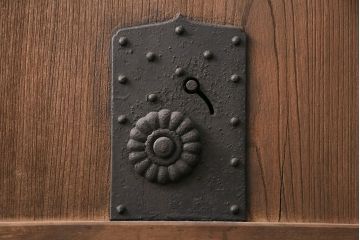 アンティーク建具　明治期　ケヤキ材・カバ材　格子蔵戸(玄関戸、引き戸、建具)(R-049628)