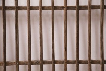 アンティーク建具　昭和初期　時を重ねた木の味わいが魅力の格子戸(玄関戸、引き戸、建具)(R-049642)