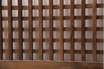 アンティーク建具　ヒノキ材　ガラス入り格子戸2枚セット(玄関戸、引き戸、建具)(R-049643)