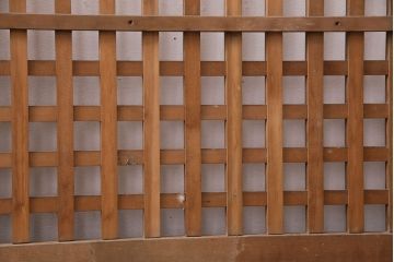 アンティーク建具　ヒノキ材　ガラス入り格子戸2枚セット(玄関戸、引き戸、建具)(R-049643)