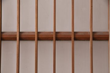 アンティーク建具 和製アンティーク ガラス入り格子戸2枚セット(引き戸、ガラス戸)(R-049646)