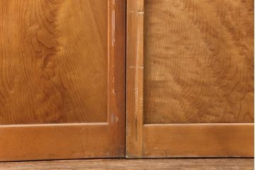 アンティーク建具　和製アンティーク　ペイント仕上げ限定　シンプルなデザインの格子戸2枚セット(建具、引き戸、玄関戸)(R-049648)