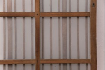 アンティーク建具　スリムなガラス入り格子戸1枚(引き戸、玄関戸)(R-049650)