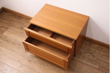 ヴィンテージ家具　イギリスビンテージ　G-PLAN(ジープラン)　チーク材　パーケットがおしゃれなチェスト(引き出し、リビングボード、ローボード、テレビボード)(R-049736)