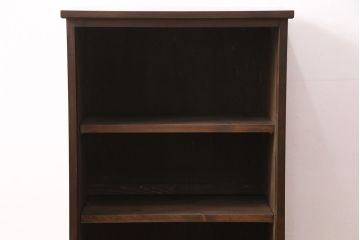 ラフジュ工房オリジナル　古建具リメイク　結霜ガラスがおしゃれな収納棚(キャビネット、ガラス戸棚、本箱)(R-050097)