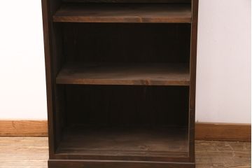 ラフジュ工房オリジナル　古建具リメイク　結霜ガラスがおしゃれな収納棚(キャビネット、ガラス戸棚、本箱)(R-050097)