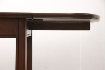 ヴィンテージ家具　北欧からやってきたスタイリッシュなバタフライテーブル(エクステンションテーブル、ダイニングテーブル、ビンテージ)(R-050154)