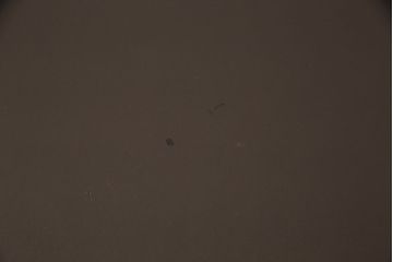 中古　イタリア製　マホガニー材　真鍮の装飾が高級感を醸し出すレザートップデスク(ワークデスク、在宅ワーク、在宅用、テーブル、作業台)(R-050443)