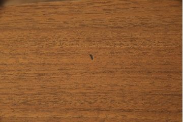 ヴィンテージ家具　北欧ビンテージ　棚板付きが便利!天板と棚板のデザインがリンクしているおしゃれな横長テーブル(リビングテーブル、センターテーブル、ローテーブル)(R-050556)