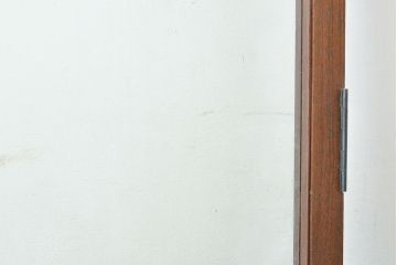 アンティーク建具　すらっとした佇まいが上品なガラス扉(ドア、建具)(R-050565)