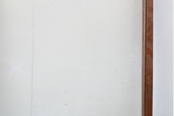 アンティーク建具　すらっとした佇まいが上品なガラス扉(ドア、建具)(R-050565)