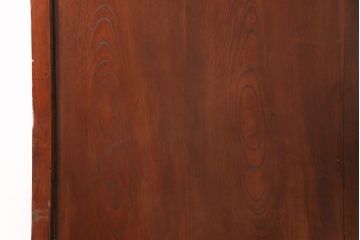 アンティーク建具　明治大正期　総ケヤキ材　赤みがかった色合いが魅力の蔵戸(玄関戸、引き戸、建具)(R-050580)