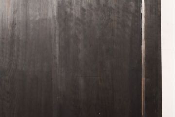 和製アンティーク　ヒノキ材　亀をモチーフにした金具が立派!雰囲気作りにおすすめの蔵戸(建具、引き戸、玄関戸)(R-050772)