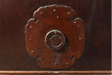 和製アンティーク　明治大正期　漆の綺麗な総ケヤキ材一枚板の蔵戸(引き戸、建具、玄関戸)(R-050839)