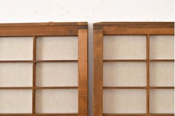アンティーク建具　景色が楽しめる額入りの障子戸3枚セット(引き戸)(R-051112)