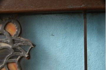 和製アンティーク　希少品!独特な意匠から貫録を感じさせるステンドグラス窓2枚セット(建具、引き戸、明り取り)(R-051223)