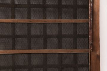 アンティーク建具　明治大正期　ヒノキ材　腰板ケヤキ材　亀甲金網付き　木の温もりを感じられる格子蔵戸(玄関戸、玄関ドア、引き戸)(R-051232)