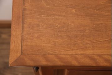 中古　美品　横浜ダニエル風　アーリーアメリカン　洗練された上品さが魅力的なサイドボード(収納棚、戸棚、キャビネット)(R-051352)