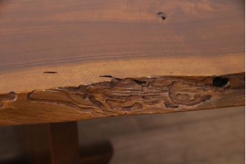 和製ヴィンテージ　MINGURENII COFFEE TABLE　希少なジョージナカシマ本人製作品!素材の形を活かしたデザインのミングレンコーヒーテーブル(ジョージ・ナカシマ、ミングレンII、センターテーブル、ローテーブル、机、ビンテージ)(R-051403)