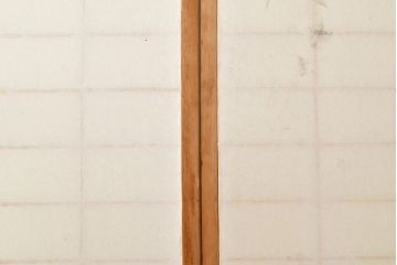 和製アンティーク　季節の移ろいが楽しめる額入り障子戸2枚セット(引き戸、建具)(R-051436)
