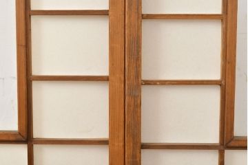 和製アンティーク　スリムな額入り障子戸4枚セット(引き戸、建具、障子戸)(R-051457)