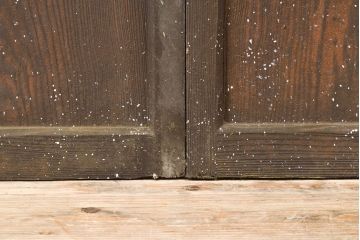 和製アンティーク　懐かしい雰囲気が漂う格子のガラス戸2枚セット(建具、引き戸)(R-051512)