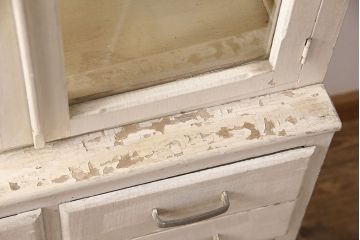 和製アンティーク　希少なデザインの縦型ケビントガラスケース(デンタルケース、デンタルキャビネット、飾り棚、収納棚)(R-051587)