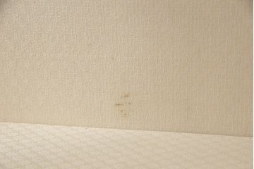 イギリスアンティーク　マホガニー材　気品が感じられるエレガントな猫脚キャビネット(飾り棚、キュリオケース、陳列棚)(R-051605)