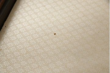 イギリスアンティーク　マホガニー材　気品が感じられるエレガントな猫脚キャビネット(飾り棚、キュリオケース、陳列棚)(R-051605)