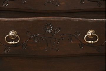 フランスアンティーク　オーク材　取り入れやすいサイズ感が魅力の縦型キャビネット(ブックケース、収納棚、本箱、飾り棚)(R-051774)
