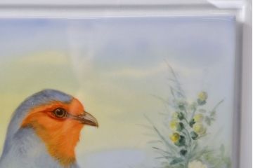 Meissen　マイセン　花鳥絵　プラーク(陶板画)　額装(R-051949)