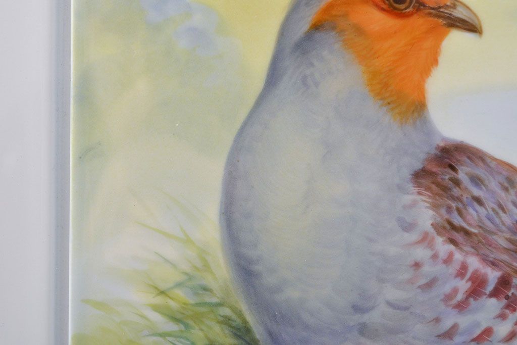 Meissen　マイセン　花鳥絵　プラーク(陶板画)　額装(R-051949)