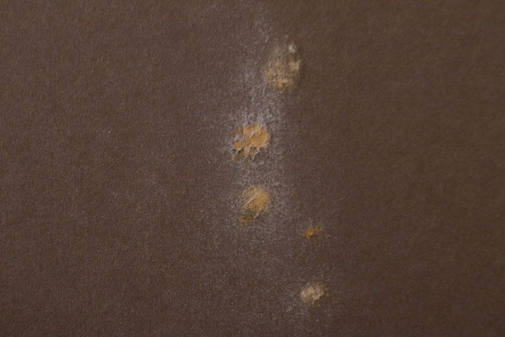 ノリタケ　Noritake　招き猫(中)　青小花　置物(ホームアクセサリー、ディスプレイ、置き物)(R-051981)