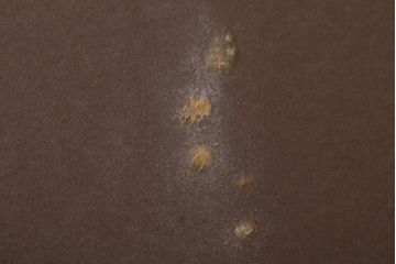 ノリタケ　Noritake　招き猫(中)　青小花　置物(ホームアクセサリー、ディスプレイ、置き物)(R-051981)