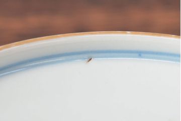 大清光緒年製　色絵染付蓋茶碗2客セット(伊万里、中国?)(R-052049)