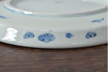 江戸期　古伊万里　四花文染付　六寸皿2枚セット(和食器、中皿)(R-052078)