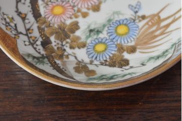 明治〜大正　九谷焼　花鳥図　色絵　小皿6枚セット(和食器)(R-052091)