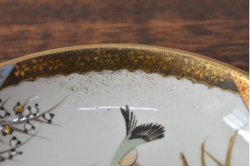明治〜大正　九谷焼　花鳥図　色絵　小皿6枚セット(和食器)(R-052092)