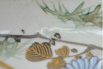 明治〜大正　九谷焼　花鳥図　色絵　小皿6枚セット(和食器)(R-052092)