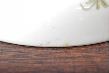 明治〜大正　九谷焼　花鳥図　色絵　小皿7枚セット(和食器)(R-052126)